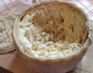 Pecorino-marcetto 