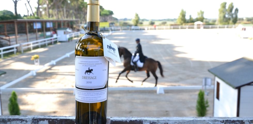 Sauvignon Dressage 2018 LàB