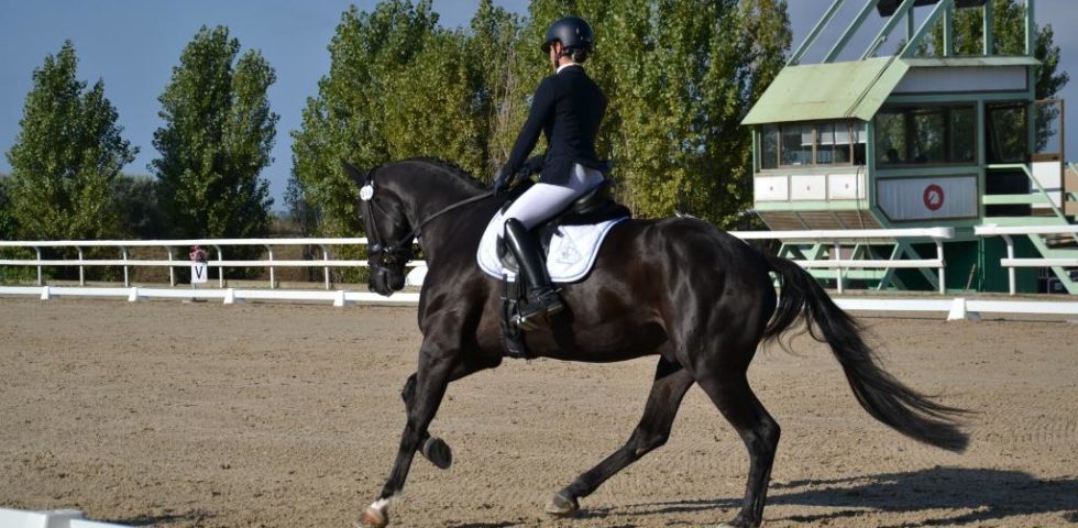 Cavalieri partecipanti